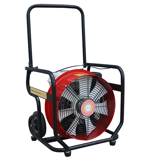 美女的隐藏部位是什么图片