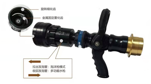 美女的隐藏部位是什么图片