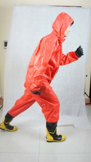 美女的隐藏部位是什么图片