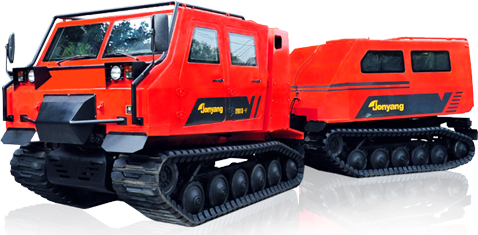 美女的隐藏部位是什么图片