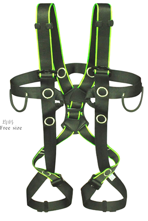 美女的隐藏部位是什么图片