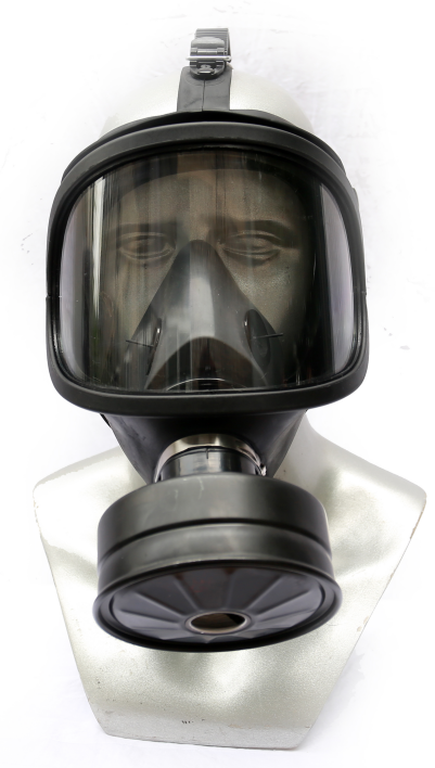 美女的隐藏部位是什么图片