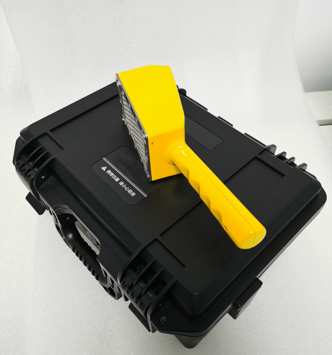 美女的隐藏部位是什么图片