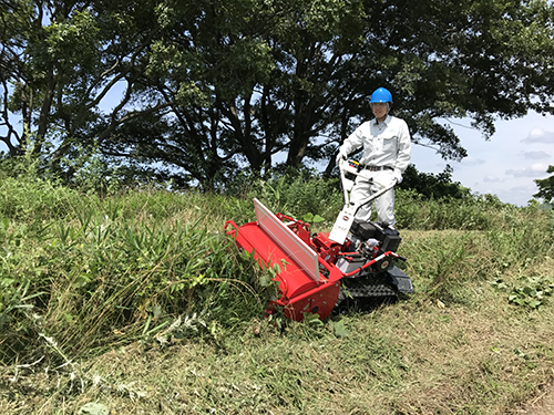 美女的隐藏部位是什么图片