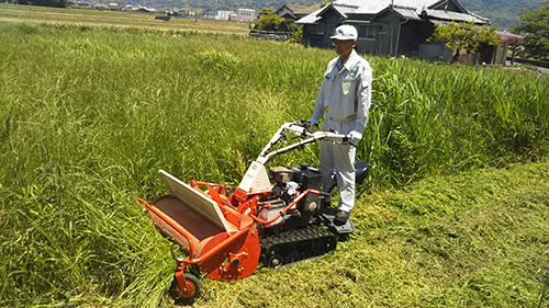 美女的隐藏部位是什么图片