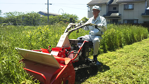 美女的隐藏部位是什么图片