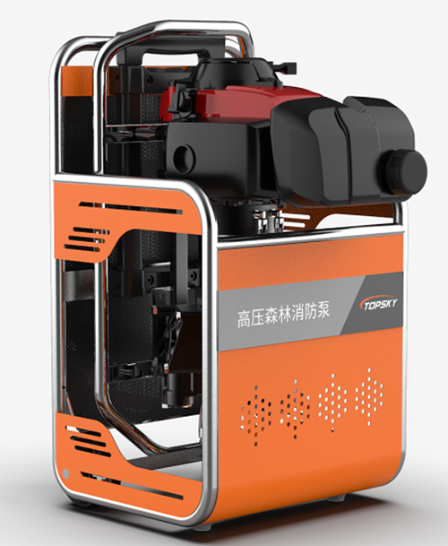 美女的隐藏部位是什么图片