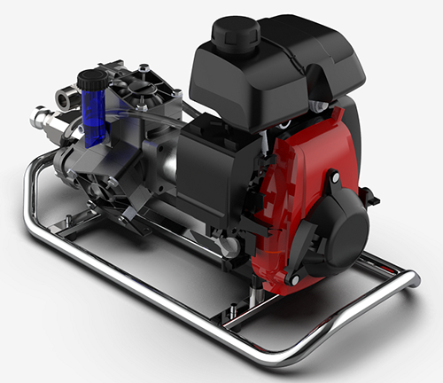 美女的隐藏部位是什么图片