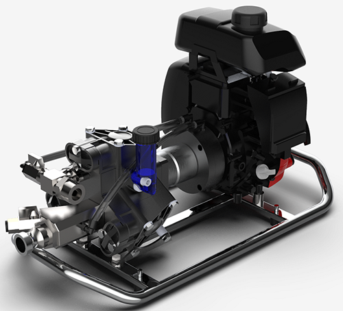 美女的隐藏部位是什么图片