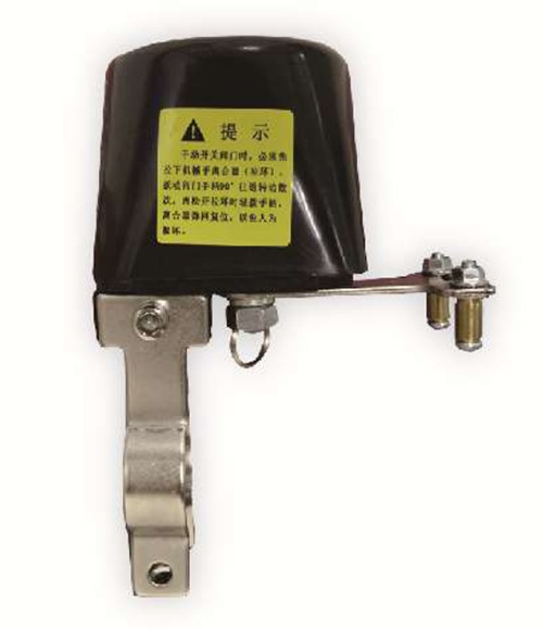 美女的隐藏部位是什么图片