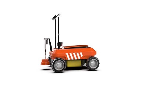 美女的隐藏部位是什么图片