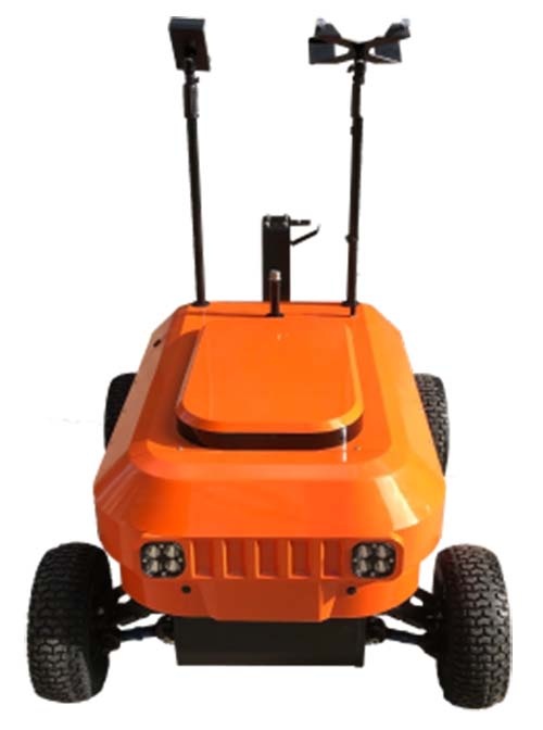 美女的隐藏部位是什么图片