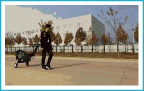 美女的隐藏部位是什么图片