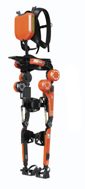 美女的隐藏部位是什么图片