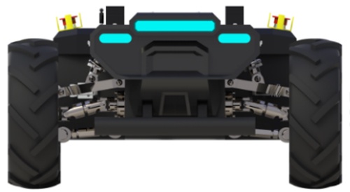 美女的隐藏部位是什么图片