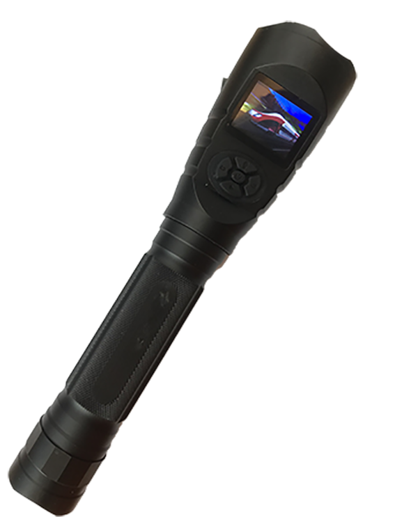 美女的隐藏部位是什么图片