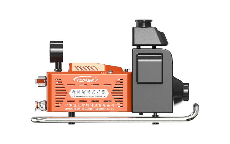 美女的隐藏部位是什么图片