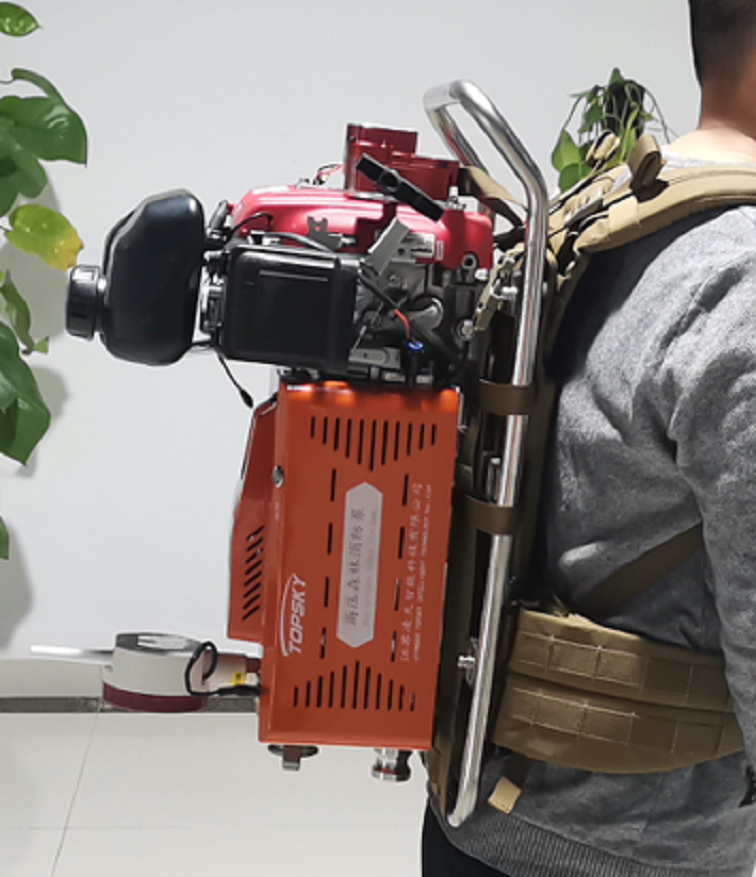 美女的隐藏部位是什么图片