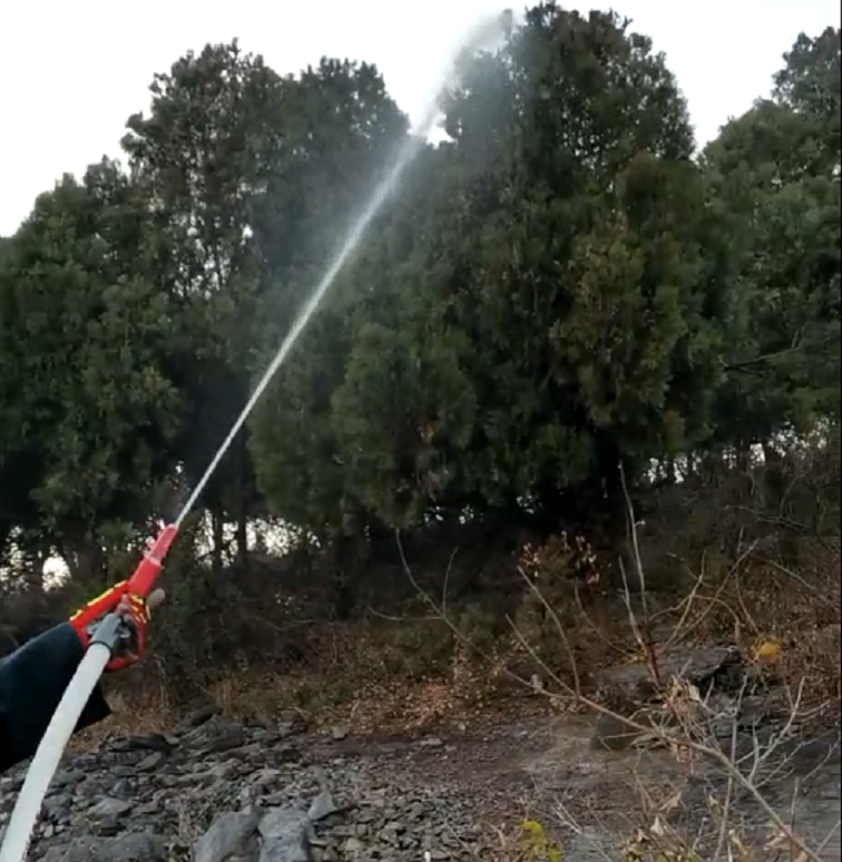 美女的隐藏部位是什么图片