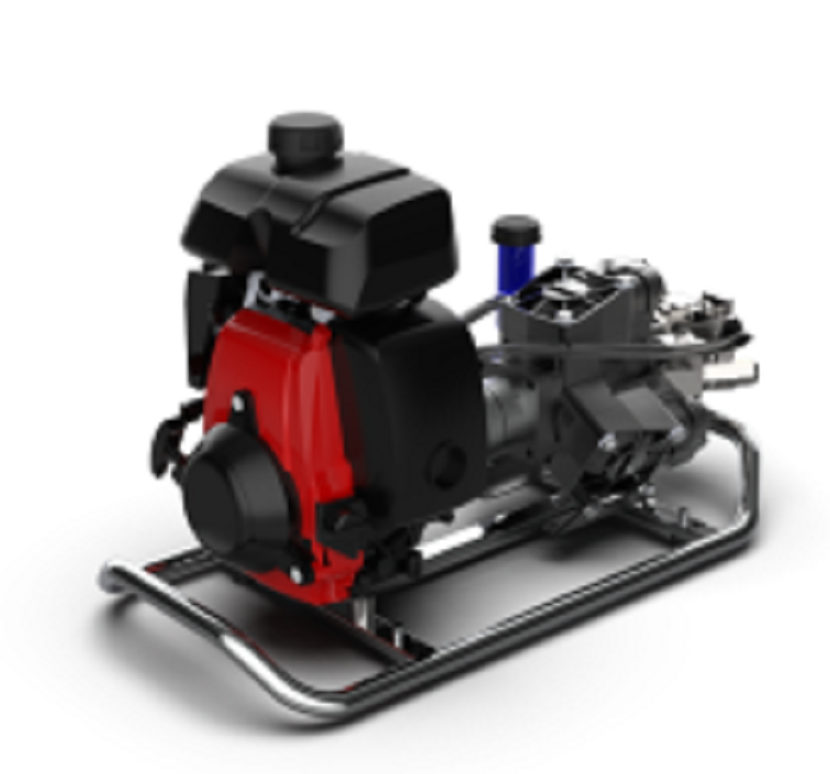 美女的隐藏部位是什么图片