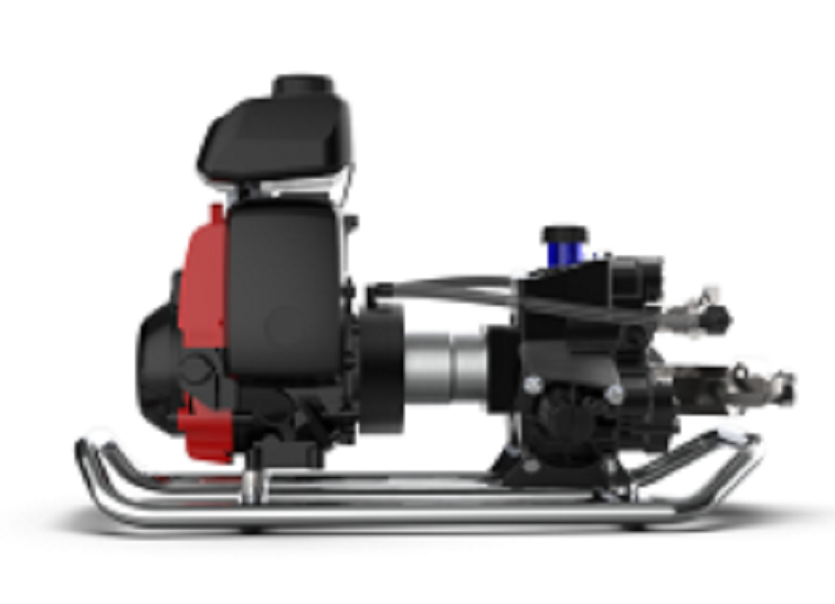 美女的隐藏部位是什么图片