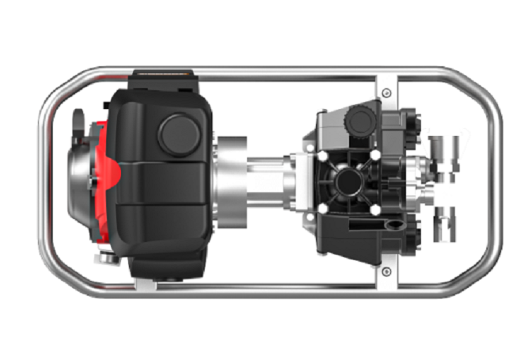 美女的隐藏部位是什么图片