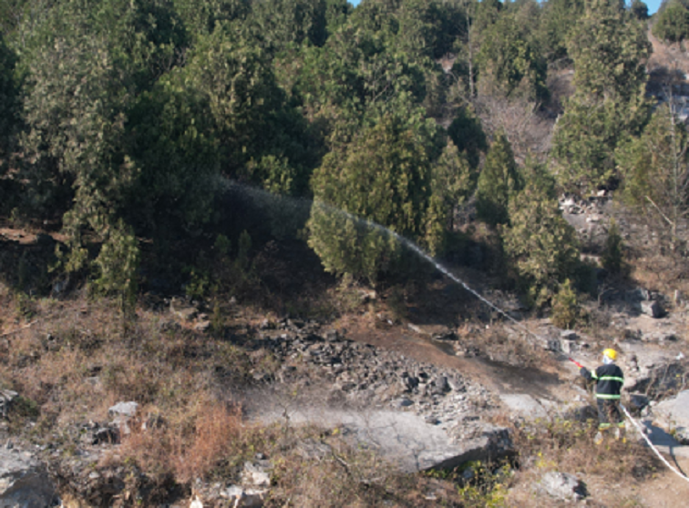 美女的隐藏部位是什么图片