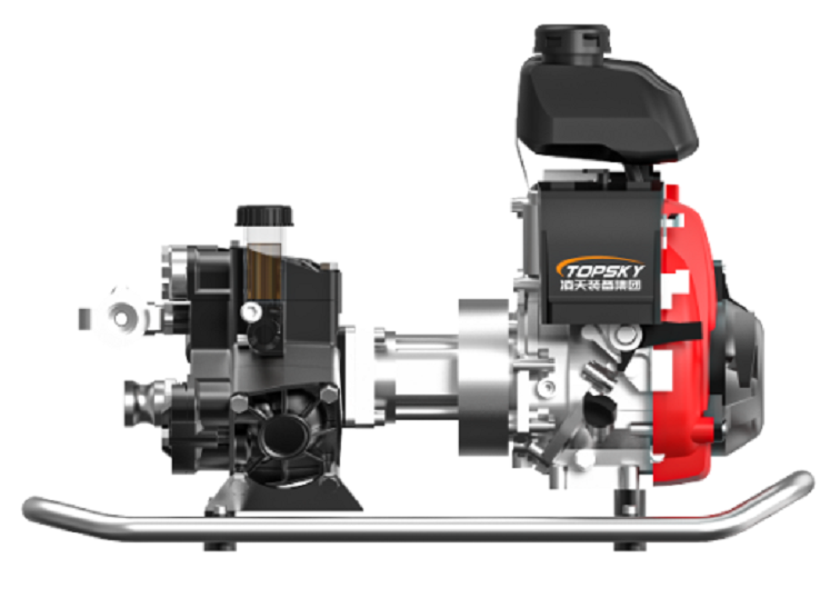 美女的隐藏部位是什么图片