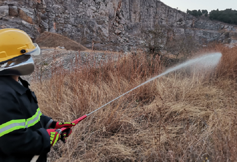 美女的隐藏部位是什么图片