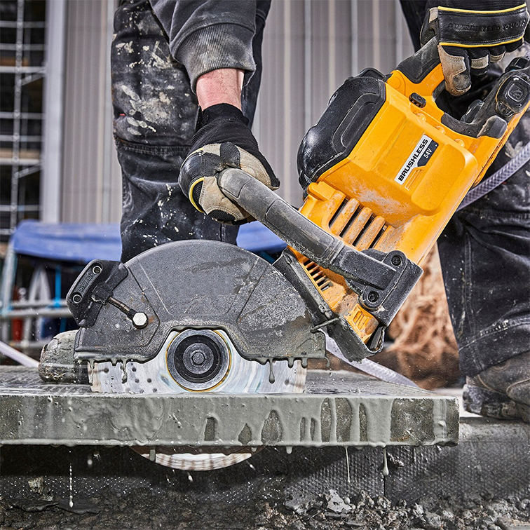 美女的隐藏部位是什么图片