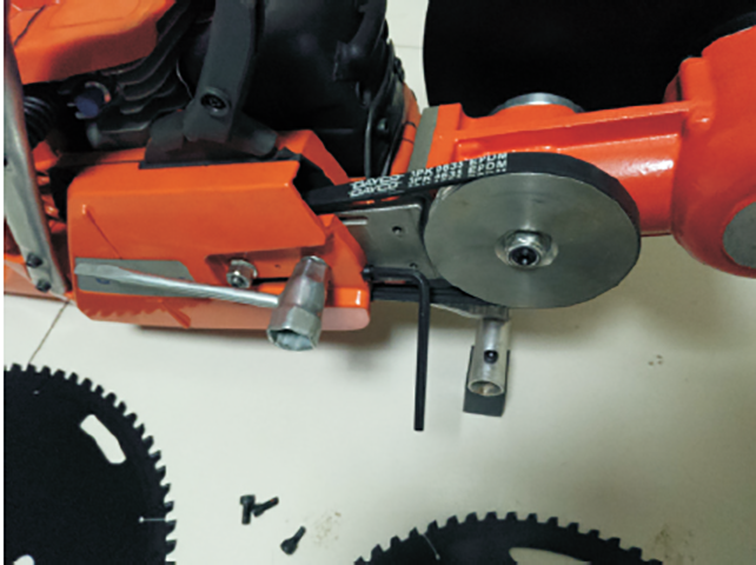 美女的隐藏部位是什么图片