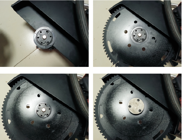 美女的隐藏部位是什么图片