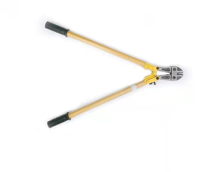 美女的隐藏部位是什么图片