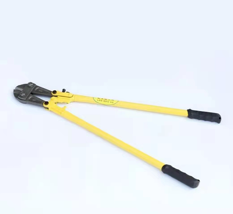 美女的隐藏部位是什么图片