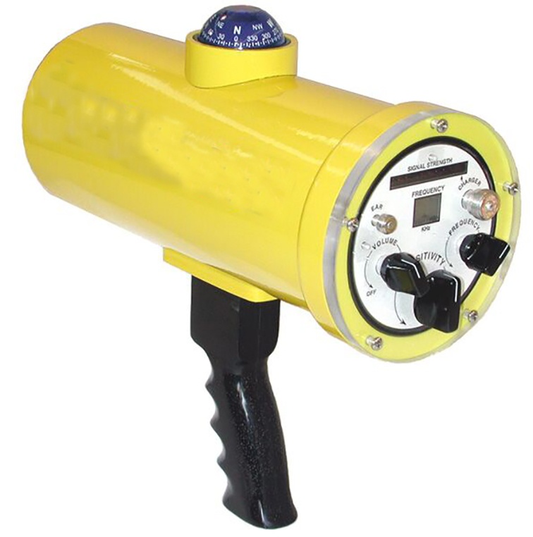 美女的隐藏部位是什么图片