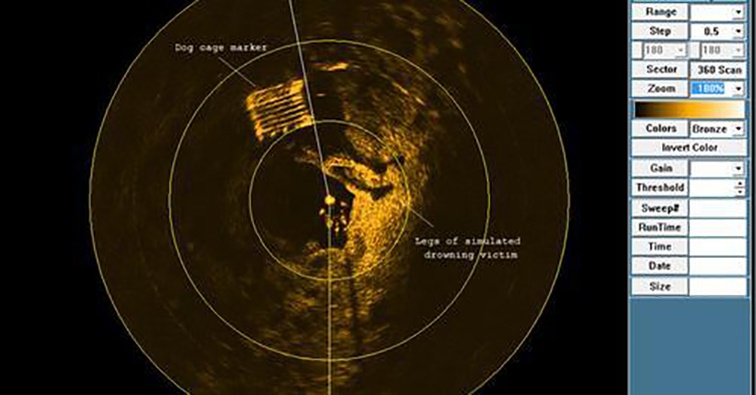 美女的隐藏部位是什么图片