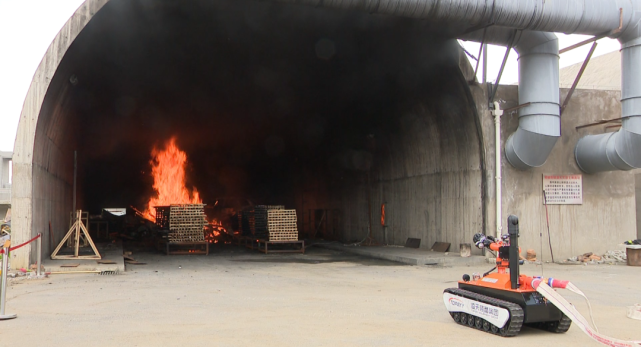 美女的隐藏部位是什么图片