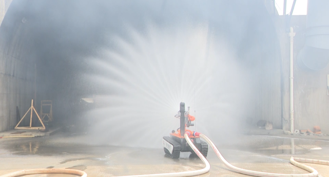 美女的隐藏部位是什么图片