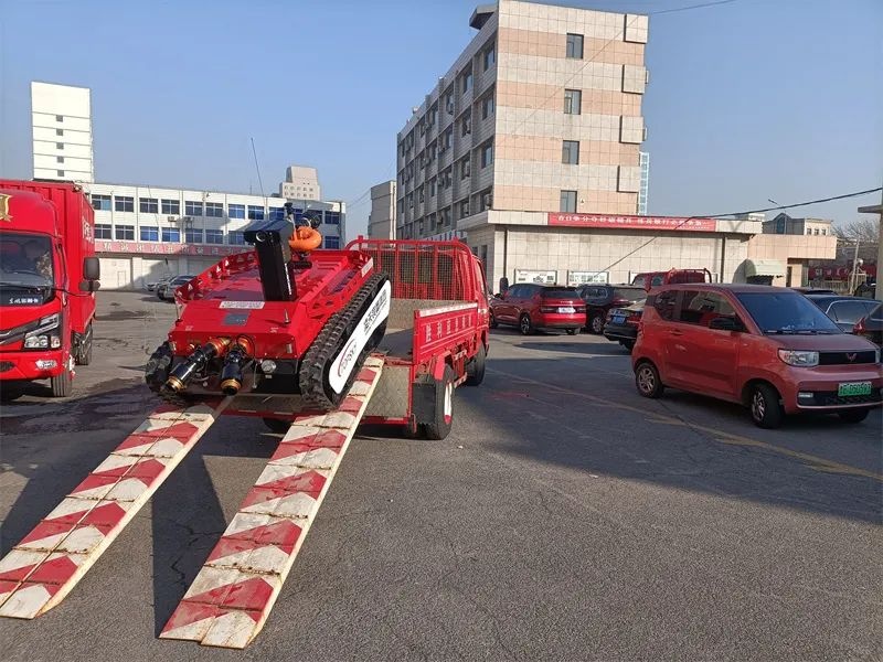 美女的隐藏部位是什么图片