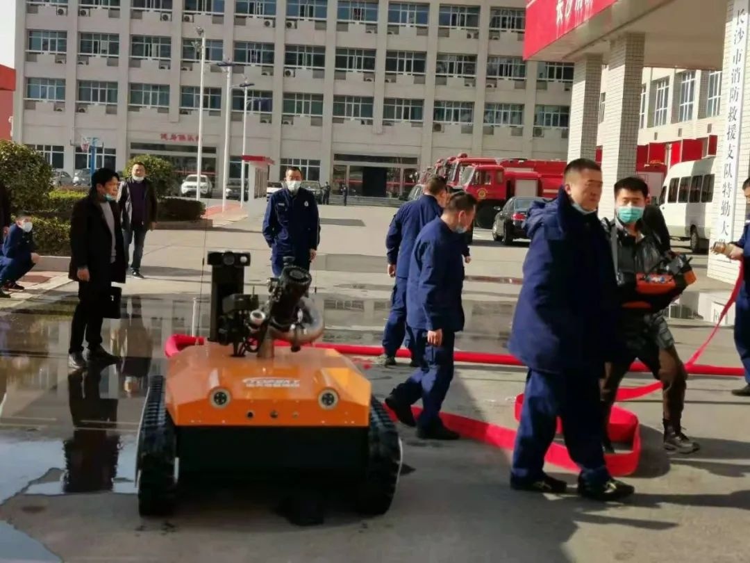 美女的隐藏部位是什么图片