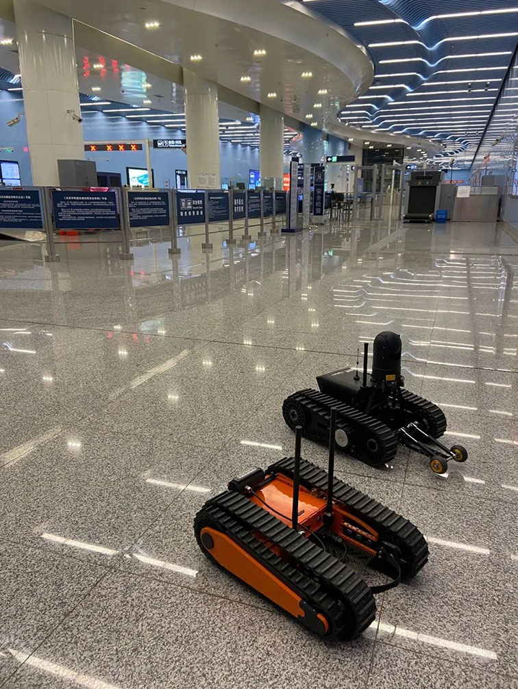 美女的隐藏部位是什么图片