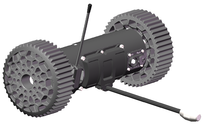 美女的隐藏部位是什么图片