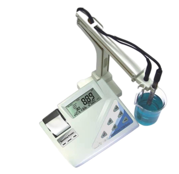 美女的隐藏部位是什么图片