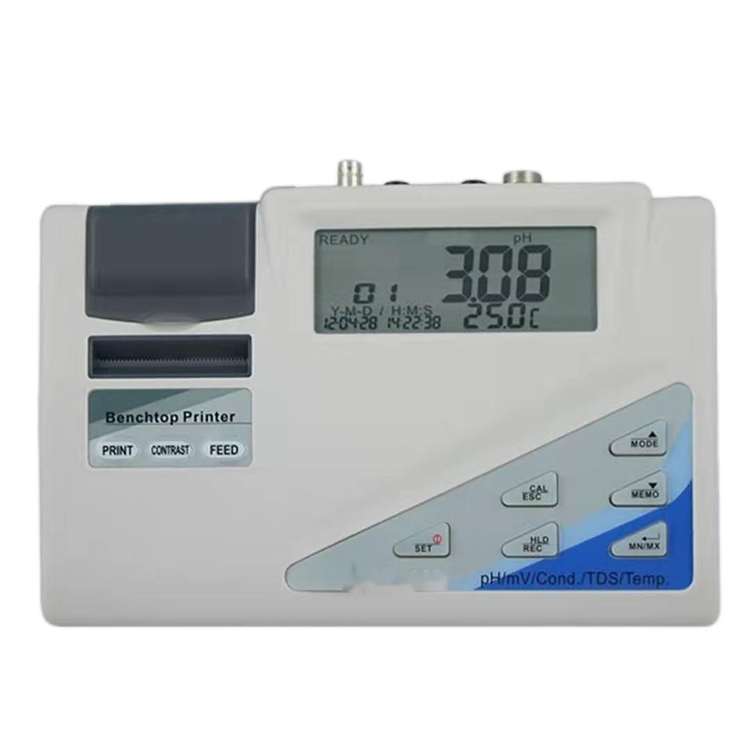 美女的隐藏部位是什么图片