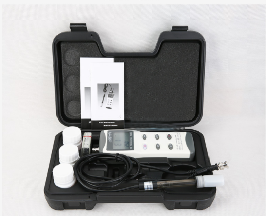 美女的隐藏部位是什么图片