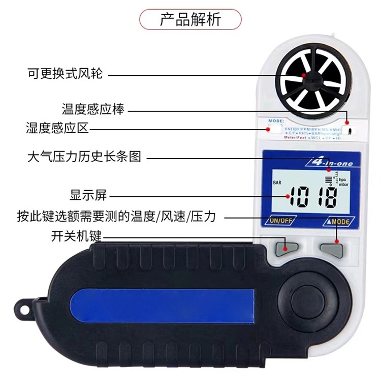 美女的隐藏部位是什么图片