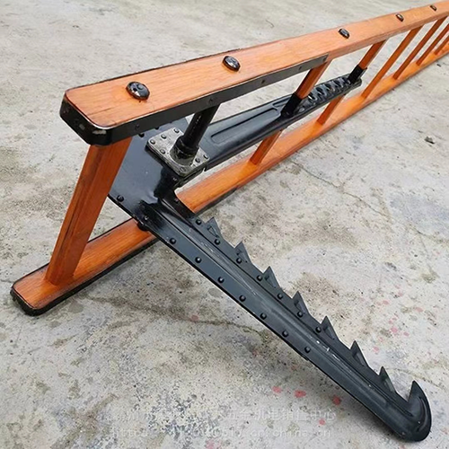 美女的隐藏部位是什么图片