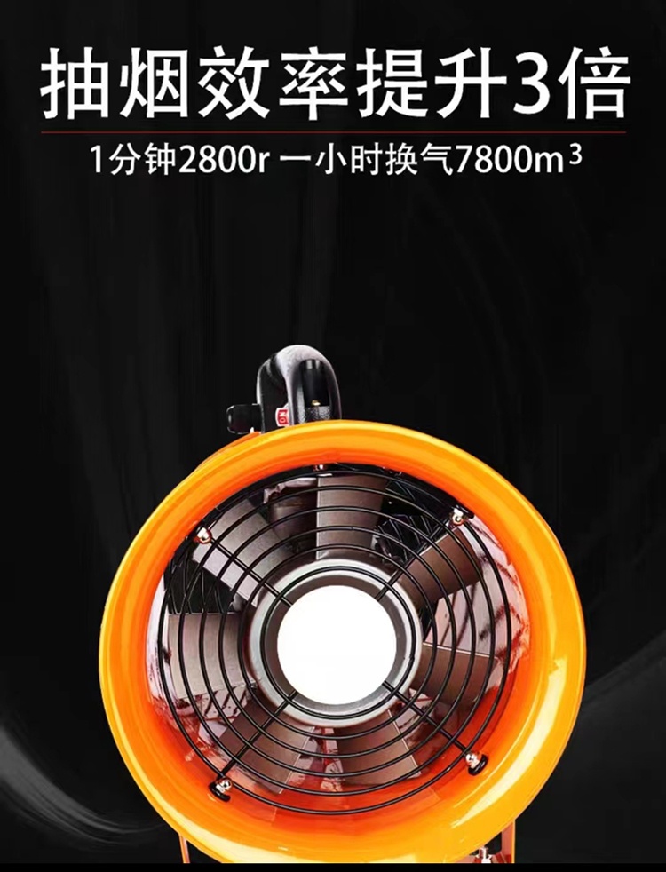 美女的隐藏部位是什么图片