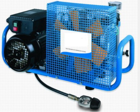 美女的隐藏部位是什么图片