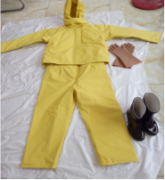 美女的隐藏部位是什么图片